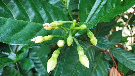 《灾变前夜》10月登陆Steam 开放世界僵尸末日生存