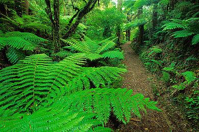 《警察模拟器：巡警》追加网络模式 支持2人合作破案